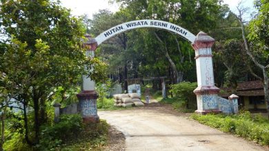 Gambar Pintu Masuk Wisata Sreni (Foto SL)