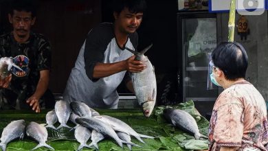 Pedagang Ikan