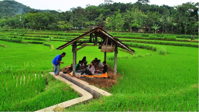 Tanjung Rejo