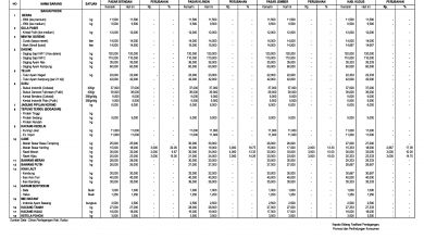 harga cabai