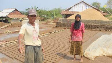 Pasangan suami isteri pengrajin bata merah Foto Sup