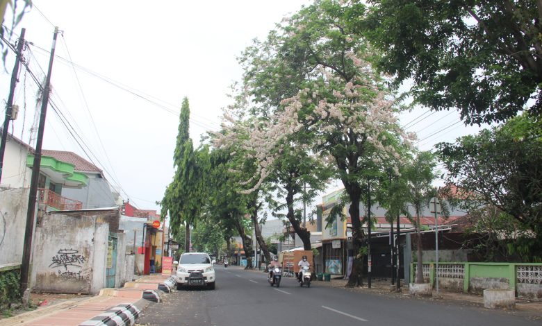 Ijalan pramuka kuburan kembar SMA I foto SupMG_9376