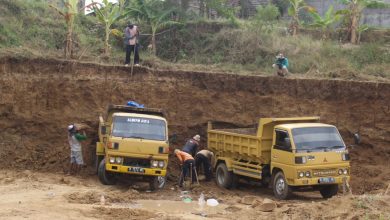 dua truk tengah menunggu untuk dimuati galain C di Desa Klumpit Gebog Kudus Foto Sup