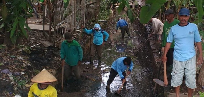 Padat Karya Tunai Desa Jojo Mejobo Kudus Jumat 12 November 2021 foto sup