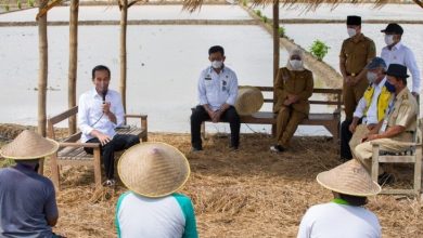 Presiden Jokowi Berbincang Dengan Petani Trenggalek | Sumber Foto:Humas Kementan