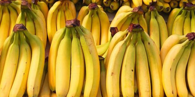 Pisang Cavendish digemari pasar dunia