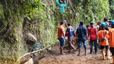 penanganan pohon tumbang dan tanah longsor di Rahtawu Kudus Foto BPBD Kudus