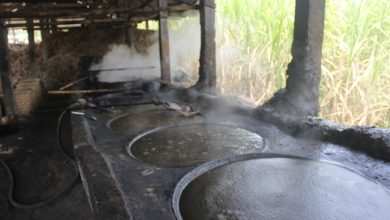 Salah satu proses produksi gula tumbu. Foto Sup