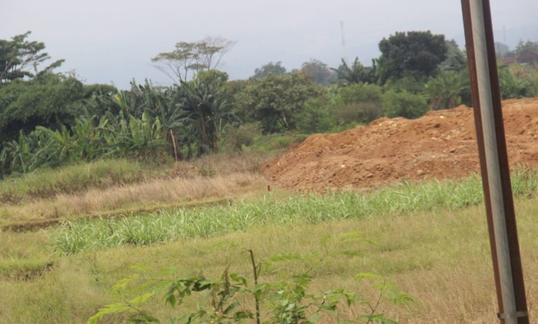 Sebagian lahan di blok Sipasar Desa Papringan Kecamatan Kaliwungu Kudus. Foto Sup