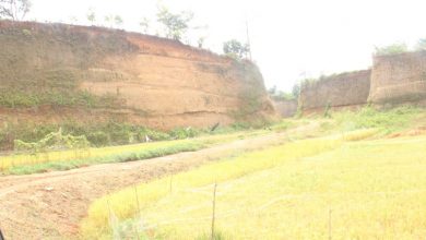 Menjulang tinggi bukit tanah seluas 11 hektar. Foto Sup