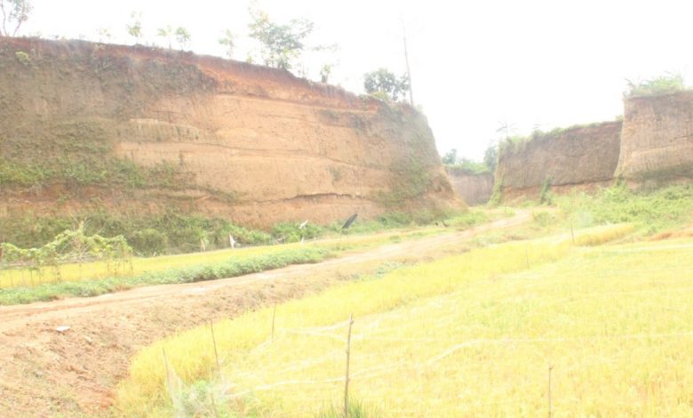 Menjulang tinggi bukit tanah seluas 11 hektar. Foto Sup