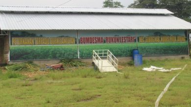 Kandang Sapi BUMDesma Rukun Lestari Desa Besito Kecamatan Gebog Kudus. Foto SUp